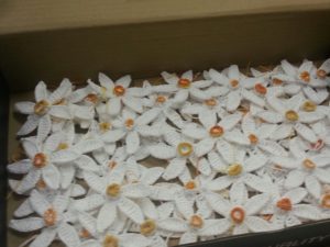 20160307_170902_resized