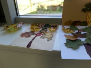 20161006_103128_resized_1