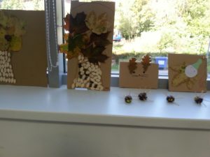 20161006_103140_resized_1